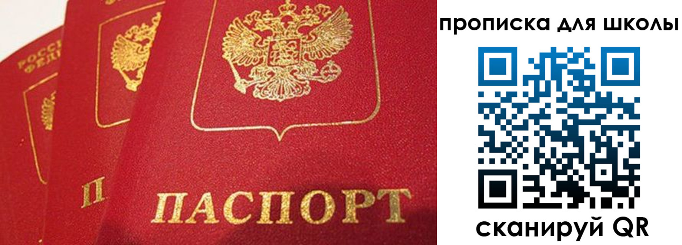 временная регистрация надежно в Егорьевске